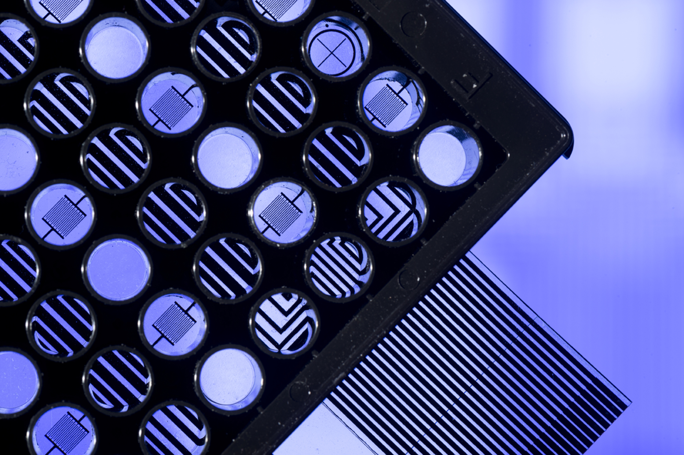 Multi-well plate with printed electrodes.