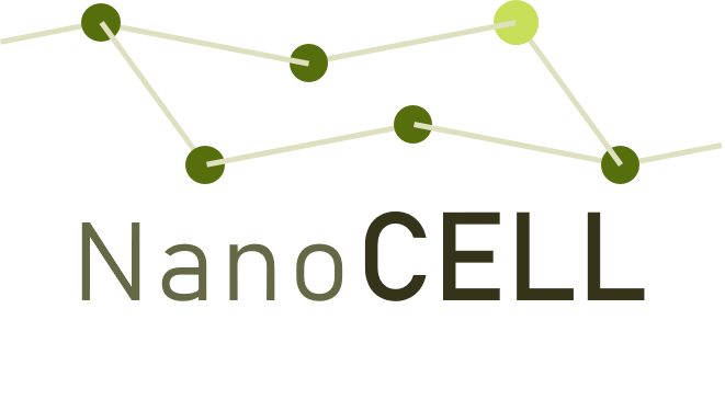 ibmt-BMBF-NanoCELL The BMBF project NanoCELL investigates the characteristics of nanocellulose along its life cycle for reliable risk assessment and safe use in environmentally friendly packaging materials.