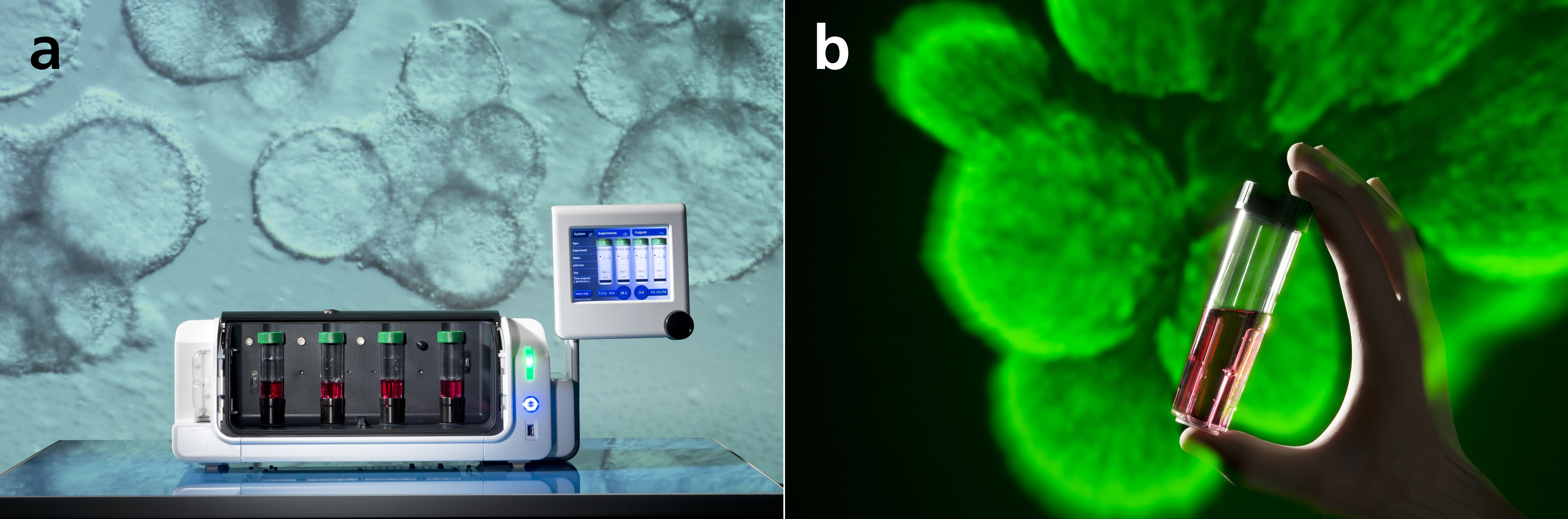 ibmt-stem-cell-bioreactor-1
