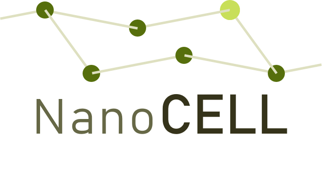 The BMBF project NanoCELL investigates the characteristics of nanocellulose along its life cycle for reliable risk assessment and safe use in environmentally friendly packaging materials.