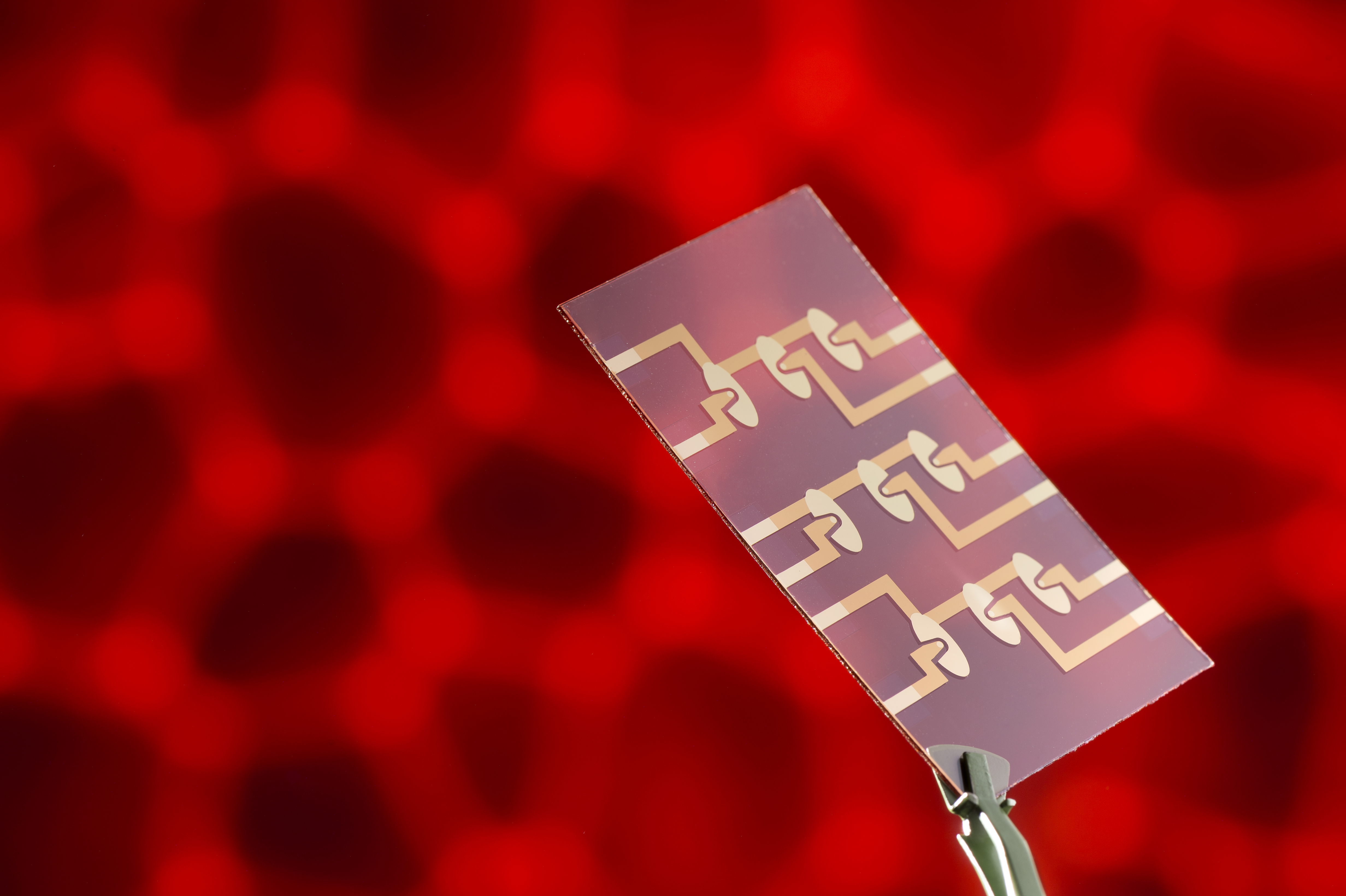 Multi-electrode layout for parallel analysis of multiple cell samples in microfluic-chips.